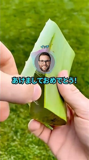 あけましておめでとう！！#shorts