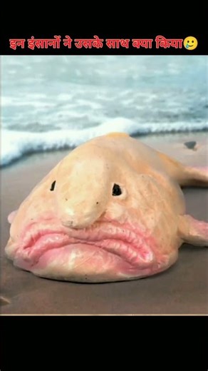 Justice for this fish 🥲 #blobfish