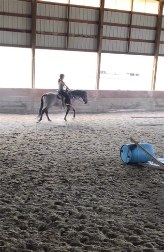 From the Kiger Col vault. Watching this video after we first took it is when I first realized something was wrong in his body. We went on a long journey of bodywork and vet work up before he was eventually retired about 9 months later. I was also prolapsing at this time, hence my funny seat. | SacredConnections - Horses, Healing & Holistic Education