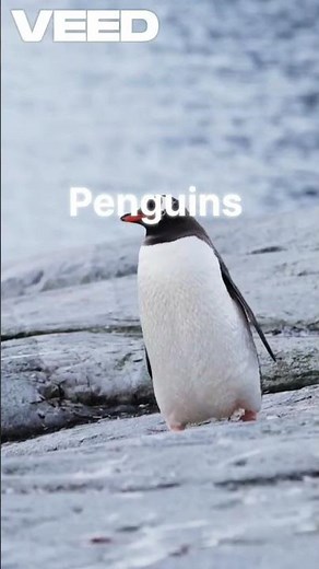 kids video for learning new fact😁 #facts #shots #kids