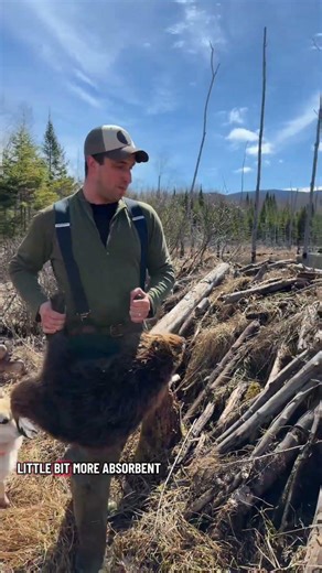 Beaver trapping: Try trapping ponds instead of rivers during periods of high water