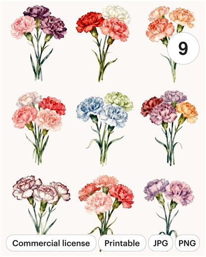 9 Carnation Bouquets Colorful Clipart Set | Watercolor PNG & JPG | Printable Commercial Use - Etsy