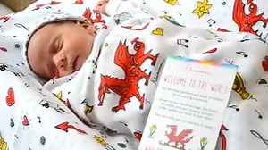 93 reactions · 23 comments | GET 30% OFF: The Welcome to Wales Baby Gift Set is here! gbwls  The gift set includes a two layer dribble bib, a three layer burp cloth, a super soft muslin blanket, a newborn hat and a free print of Wales! ❤️ + Free Delivery.   https://www.rhiannonart.co.uk/products/welcome-to-the-world-gift-set | Rhiannon Art | Facebook