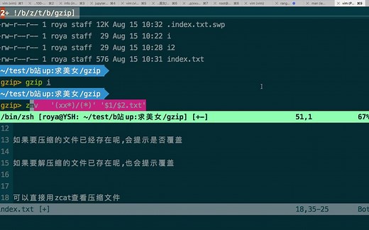 linux命令,gzip,压缩解压缩