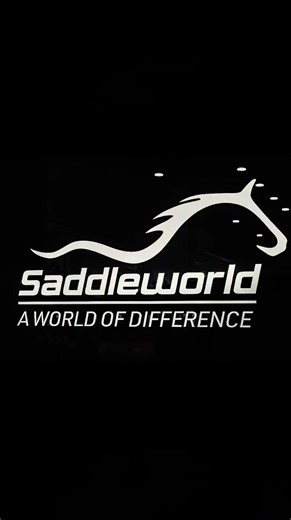 What. A. Year. ✨ 2025 has truly been the best one yet for Night Fox Productions, and it’s all thanks to the incredible people (and animals!) who stepped in front of my lens. From beautiful family shoots, stunning formals, glowing maternity sessions, and unforgettable equestrian moments, to the excitement of Saddleworld’s opening & branding, the professionalism of Koolboo Equestrian branding, elegant dressage days, and the magic of Christmas with the Coos — every single session has been an absolu