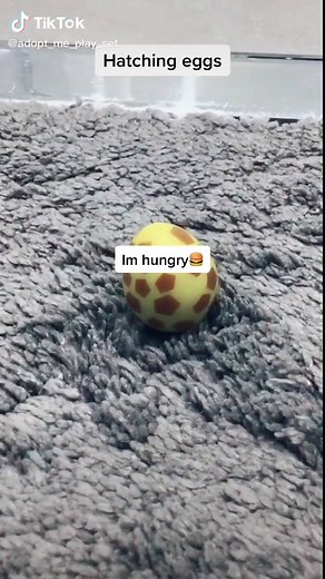 Explore the Exciting Adopt Me Toys Playset