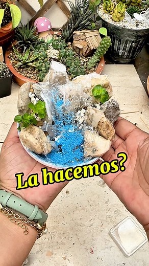 196K views · 3.2K reactions | Adornitos para mini jardines hechos en casa #jardín #diy #Martes | La Sra de las plantas | Facebook