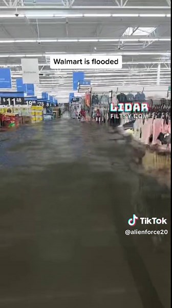 Alien Force (@alienforce20)’s videos with original sound - Alien Force