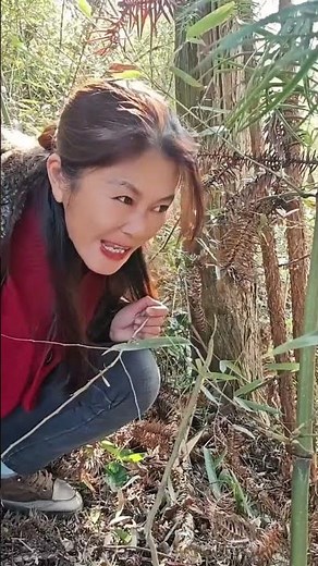 masteran burung viral lucu bikin ngakak hiburan warga+62 funny videos #funny #shorts #viral