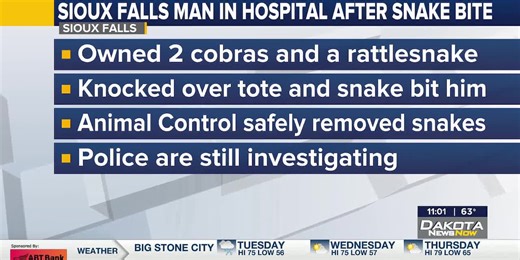 Man hospitalized after being bitten by pet cobra, Animal Control investigating