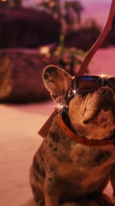 1K views | Make it Miami – from head to paw ✨ This look’s already ahead of the game. @MCMWORLDWIDE x SNIPES… something’s coming. #miamified #snipes #mcm | SNIPES USA | Facebook