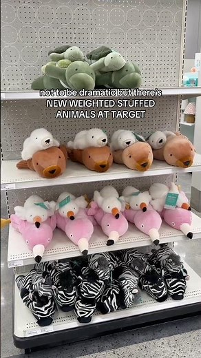 New Target weighted stuffed animal duos!! 🥹