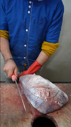Sea Fish Scaling – Clean & Fast Cutting | Just Watch