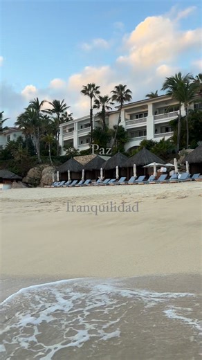 Only in CABO ✨🌊🌴 | Discovering CABO