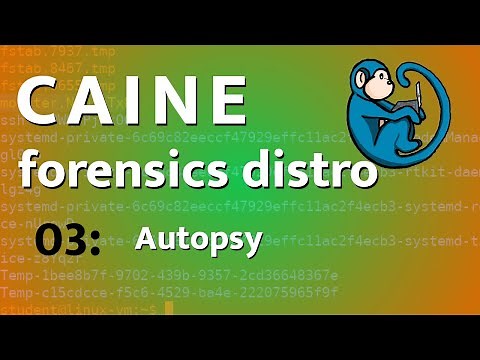 CAINE - 03 - Autopsy basics tutorial