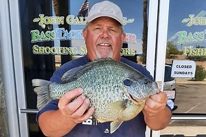 6.3-Pound Sunfish! Possible World-Record Redear Caught (Again) at Havasu - Game & Fish