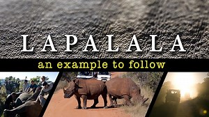 Lapalala the example to follow