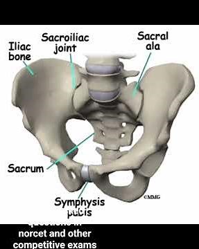 Types of Female Pelvis & Deformities 🔥 Nursing Exam Quick Revision | GNM BSc Nursing