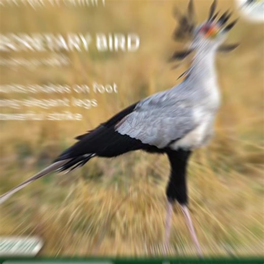 Maglan_Explores (@maglan_explores)’s videos with original sound - Wave Pane