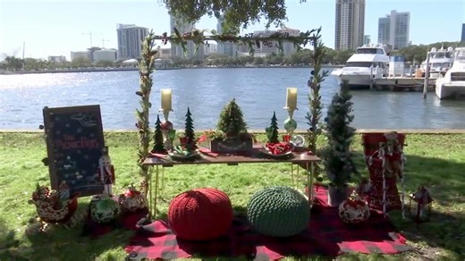 This St. Pete couple’s side hustle is literally a picnic