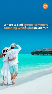 Get ready to soak up some sun! Miami's best beaches are calling your name 🌞🏖️ From crystal-clear turquoise waters to powdery white sand, we've got the inside scoop on where to go for the ultimate beach day. Pack your sunscreen and let's go! ☀️🌊 #MiamiBeach #BeachVacation #TravelGoals #SummerVibes #ExploreWithUs #VacationModeOn #TravelGoals #TravelMore #ExploreTheWorld #CreateMemories #TravelEnthusiast #travelholic #travelgram #wanderlust #reels #reelitfeelit #reelsexplore #Cheapflightsfares #