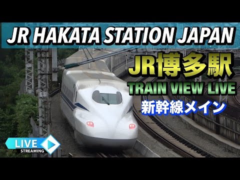 JR博多駅 TRAIN VIEW LIVE 新幹線メイン 2025.12.05