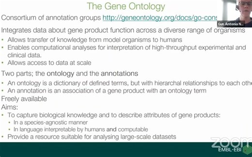 最系统的GO富集分析课程