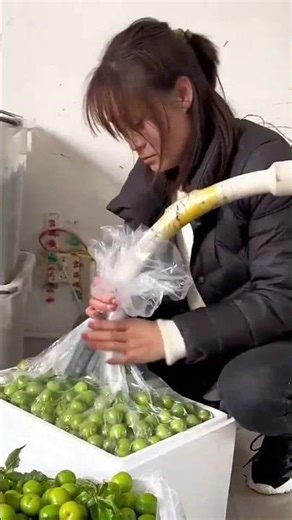 Smart Fruit Packaging Using Vacuum Technology