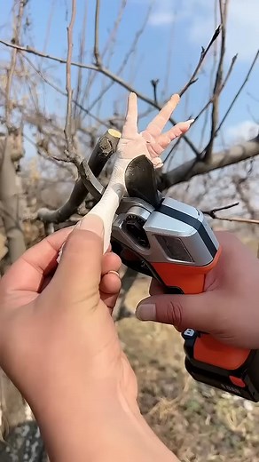 "✨WHAT YOU NEED HERE : https://amzn.to/4ppDwsh ✨ Multi-function cutting scissors #garden #gardening #scissors #agricultor #viralreels #DIYTools #diycrafts #reelsvideoシ #diyideas #reelsfypシ #reelsviralシ #diy #homemade #reels_R" | Smart Gadgets