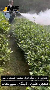 2.5K views · 25 reactions | N ⚡ Fogger Machine All Models Available  Moquto Repellent, Anti-Dengue, Anti-Malaria  For Whatsapp Plz Connect https://wa.me/923007880018 https://wa.me/923007880017 https://wa.me/923001622697 https://wa.me/923001239923 #viral #wheat #new #technology #trending #jms #JapanMachineryStore #agriculture #Dairy #Dairy_farming #New_Modern | Japan Machinery Store Lahore | Facebook