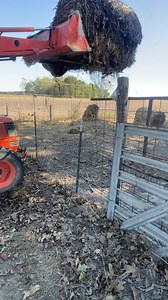 🚜 Need reliable lifting without the price tag? VEVOR Pallet Forks deliver durability, easy mounting, and safe handling every time. 🛒 Limited stock — https://s.vevor.com/QTYENP 🏷️ Code: VIPFAN5 📸 @anythingoutdoors08 #VEVOR #VEVORDIY #HomeDIY #VEVORHomeImprovement #palletfork | VEVOR Home Improvement