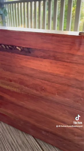 Our Native bee collection #nativebee #bee #nativebees #beekeeping #beekeepers | The Backyard Beekeeper | Facebook