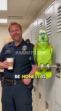 Parrot Sings Opera and Roasts Police Officers — Ultimate Compilation 😂🦜
