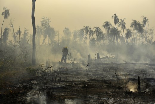 More than half the world’s forests fragmented in 20 years — but protection works: Study