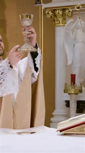 Faith & Fellowship is BACK! ✨ Join us every Wednesday as we discover the gifts of grace poured out through Christ's seven sacraments. | St. Joseph Catholic Church