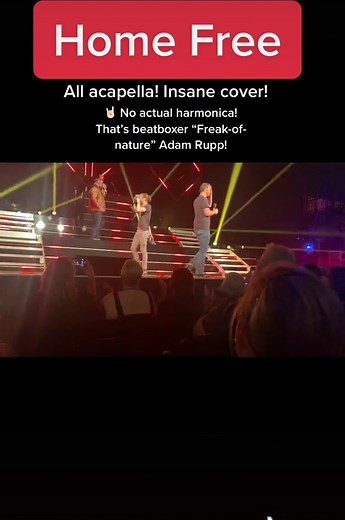 Home Free: A Captivating A Cappella Concert Experience