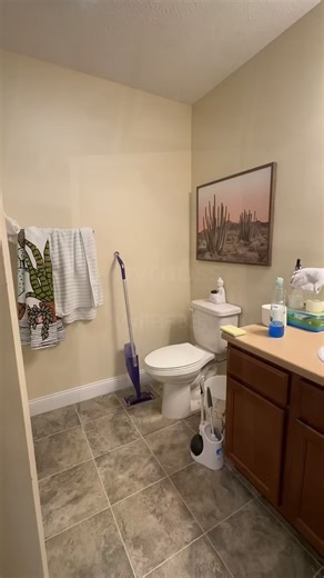 Daily Cleaning Tasks for a Tidy Home