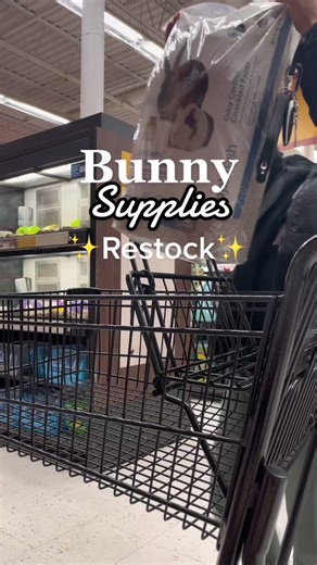 Bunny Essentials Restock Time | Must-Have Supplies for Your Rabbit