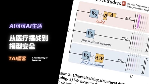 [TAI快报]从医疗挑战到模型安全_哔哩哔哩_bilibili