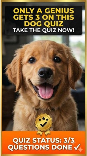 Only a genius gets 3 on this dog quiz
