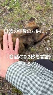 【書籍】会話の0.2秒を言語学する〜読書で次世代応援はいかがでしょうか？〜 #ゆる言語学ラジオ #水野太貴 #言語学習 #地域猫 #さび猫 #ちゃとら猫