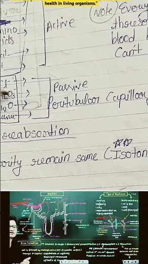 2. Human Excretory System Explained | Excretion Products & Elimination