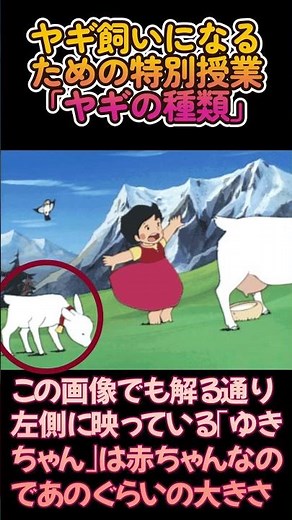 【目指せ1人前のヤギ飼い】 ペットで飼う時のヤギの種類 #vlog #ペット #山羊 #Shorts