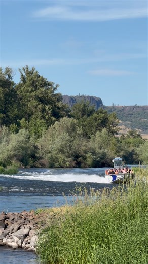 Nothing beats the river breeze on a 90° day. Jet boat season is ON. 🚤☀️ Book your adventure www.roguejetadventures.com •Jet Boat Tours •Discovery Park Experience •Concerts •Company Events •Glamping #discoverypark #pnw #jetboat #rogueriver #southernoregon #oregon #westcoast #tablerocks #roguevalley | Rogue Jet Boat Adventures