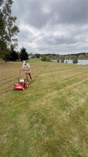 Dethatching in prep for aeration and seeding 🌱 #lawncare #lawn #diy