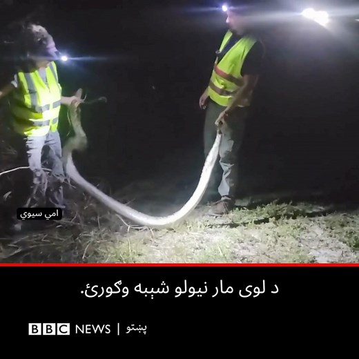 BBC Pashto on Reels