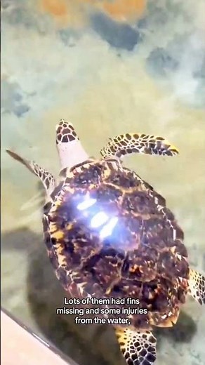 Welcome to Sri Lanka 🇱🇰