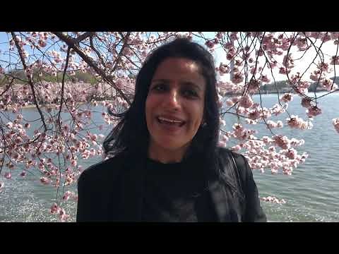 Uses of Piezometer & Installation of Piezometers - Encardio