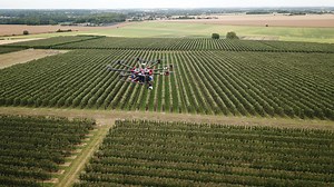 Predicting fruit harvest with drones and artificial intelligence