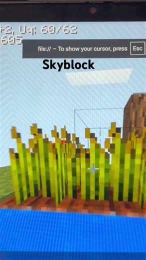 Best Minecraft server to play at school!